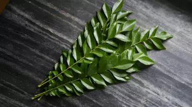 garnishing-instructions-image